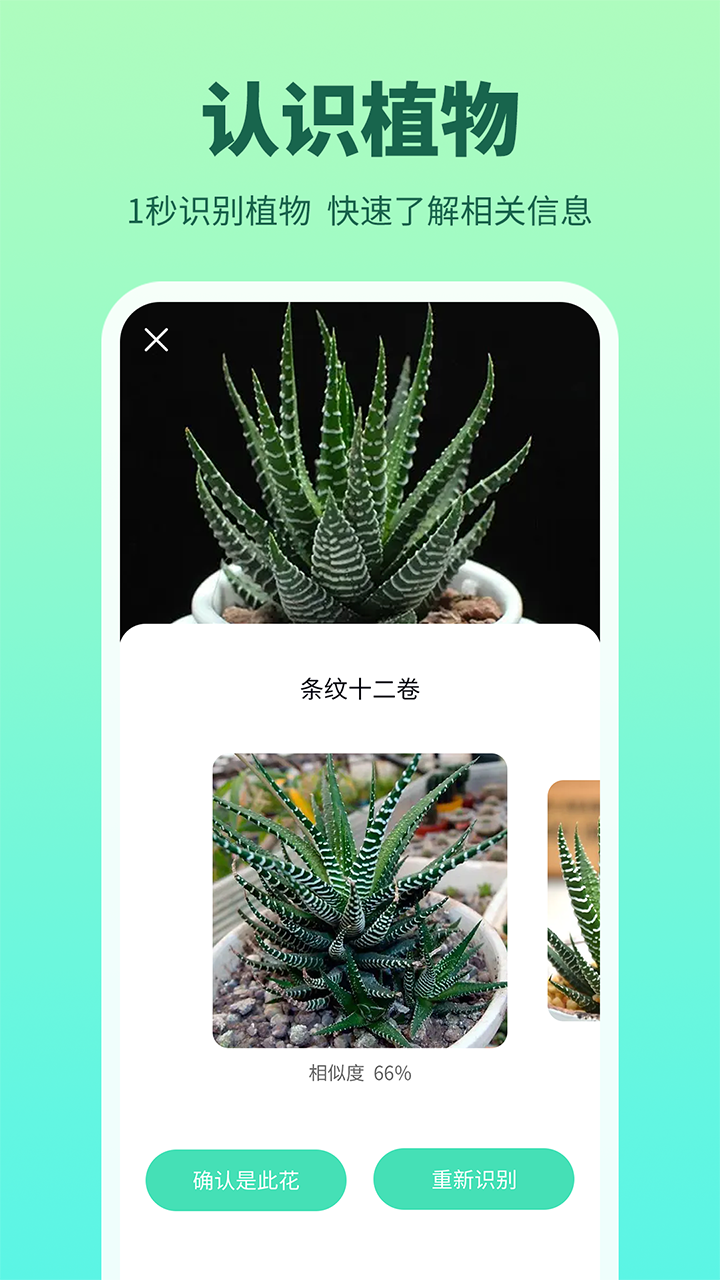 花多多app截图4