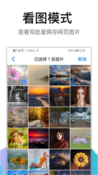 黑狮浏览器截图1