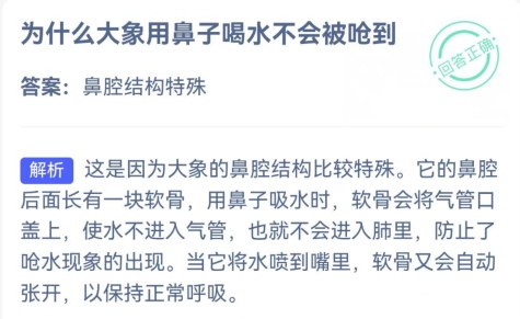 蚂蚁庄园6月13日问题答案2024