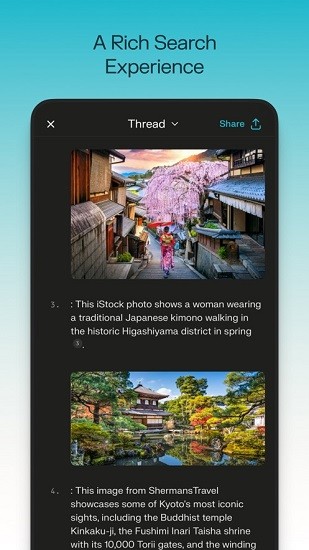 Perplexity软件截图3
