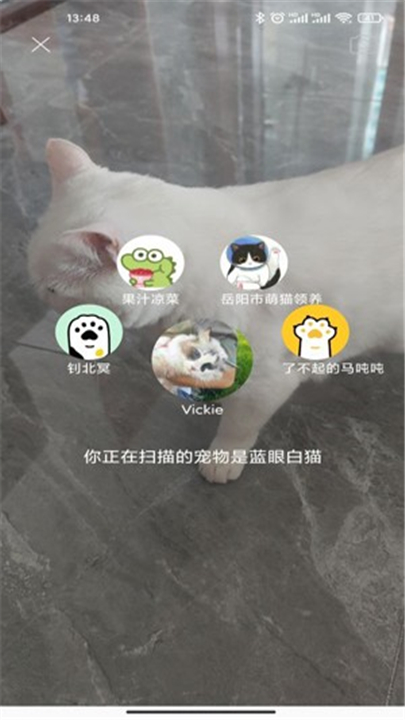 握爪截图2