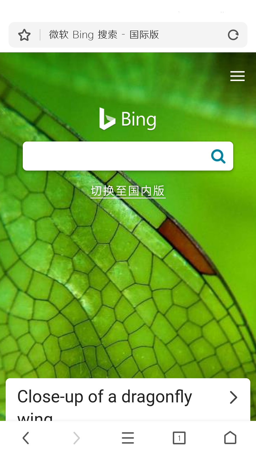 自由鲸浏览器app截图1