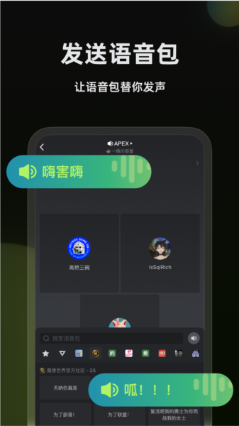 黑盒语音app截图3