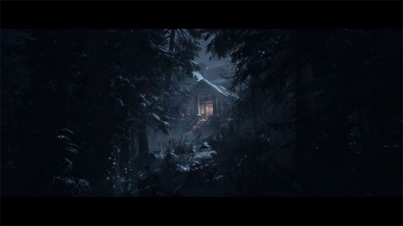 直到黎明steam发售时间