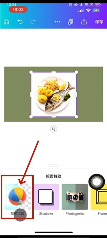 Canva