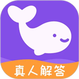 准准app