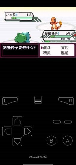 口袋妖怪最后的火红截图3