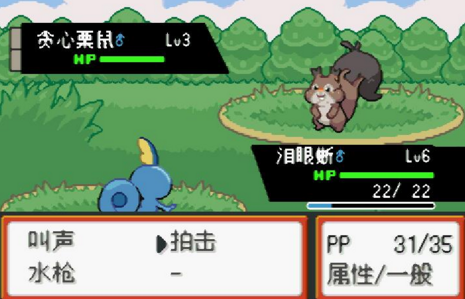口袋妖怪最后的火红