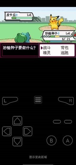 口袋妖怪最后的火红