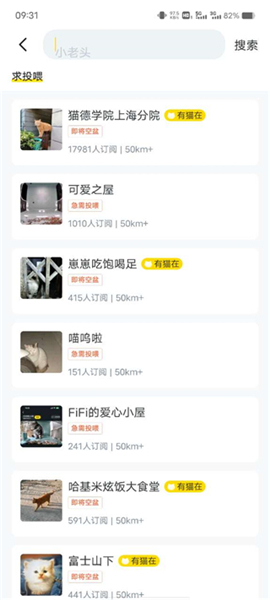 哈啰街猫旧版本