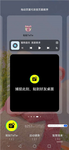 贴贴软件下载