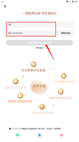 中国篮球