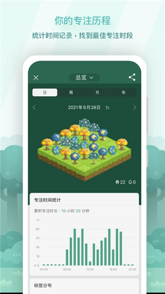 专注森林