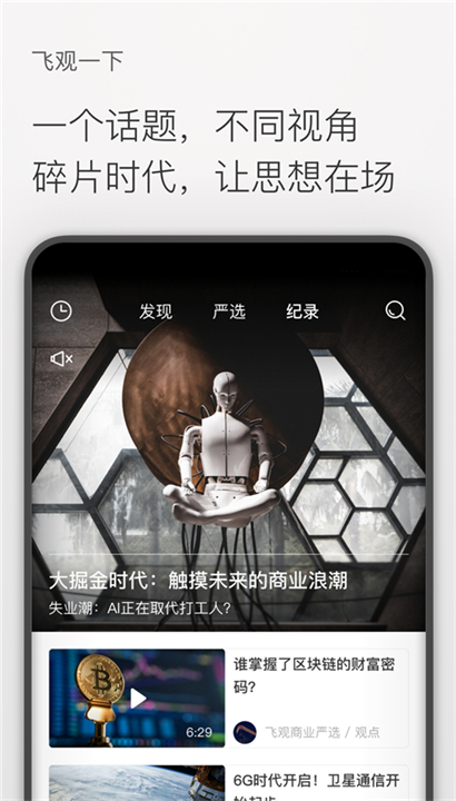 飞观截图3
