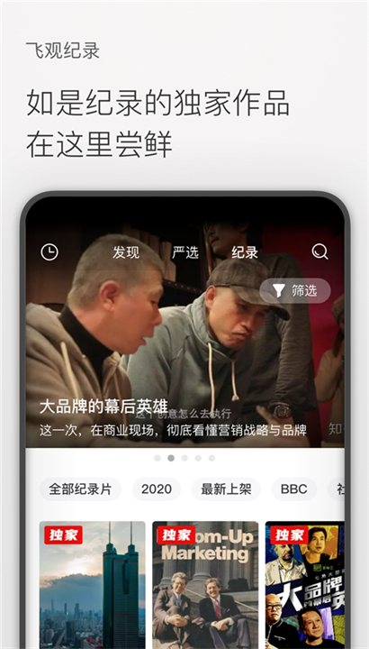 飞观截图4