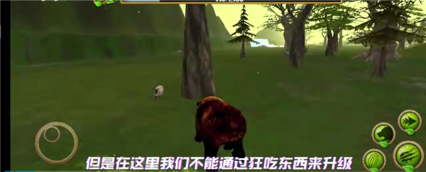 狗熊生存模拟器