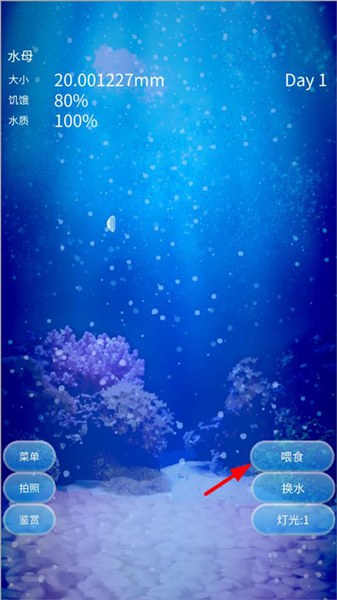 养育水母的治愈