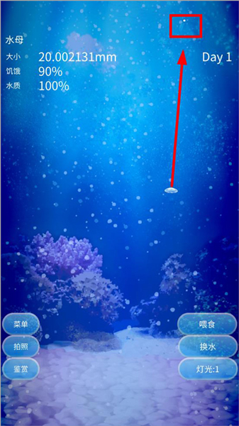 养育水母的治愈