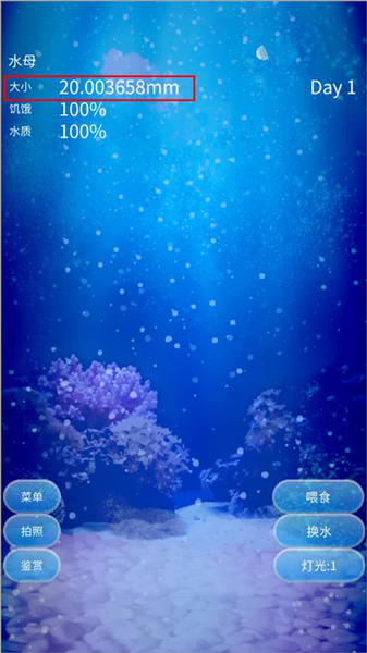 养育水母的治愈