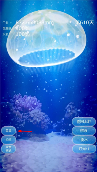 养育水母的治愈