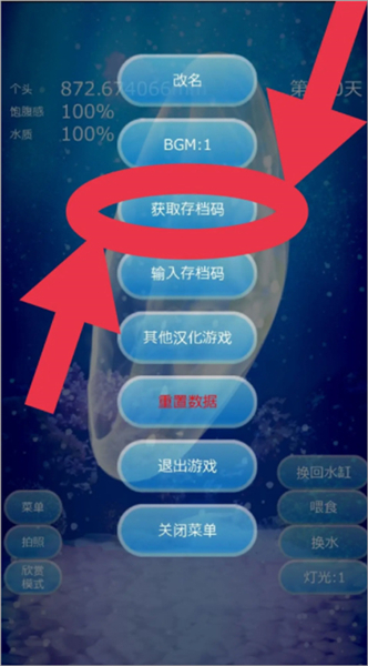 养育水母的治愈