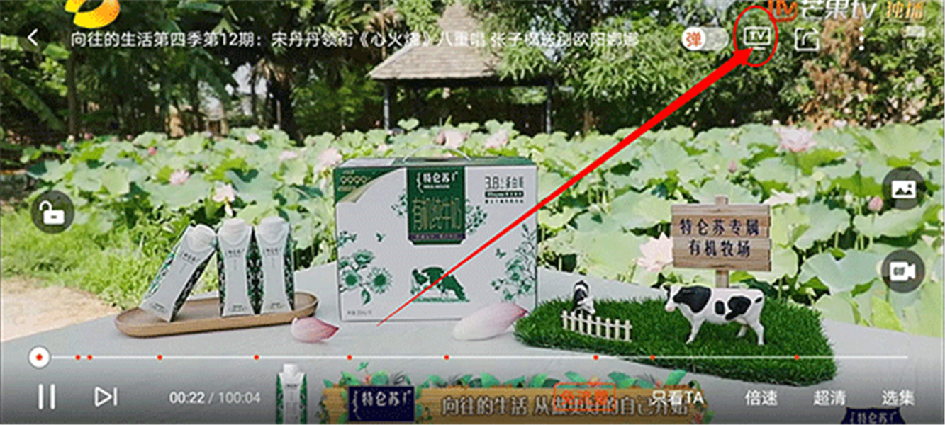 情侣定位