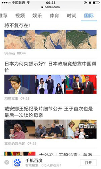 Safari截图4