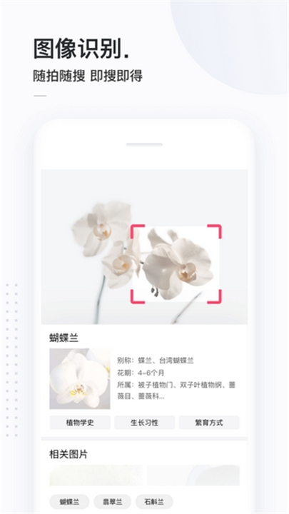 简单搜索安卓版截图4