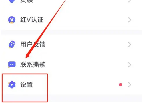 Skr撕歌
