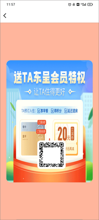 东呈青猫会