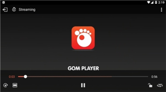 gomplayer