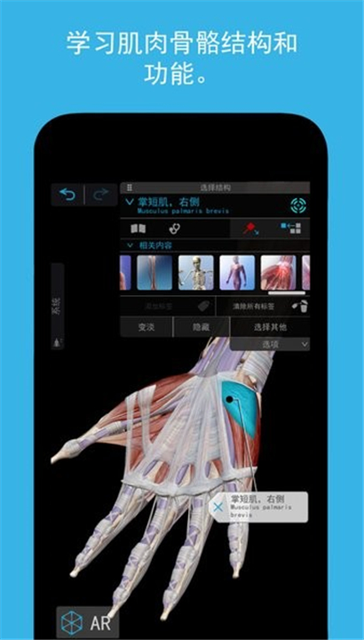 atlas人体解剖截图3