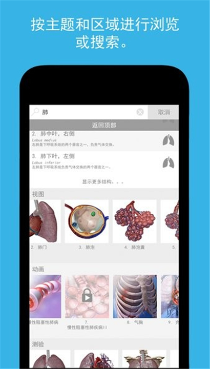 atlas人体解剖截图4