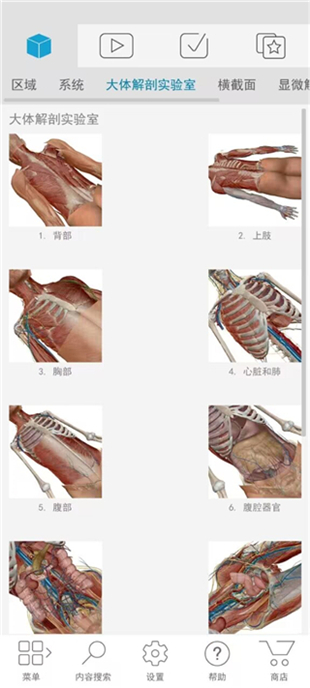 atlas人体解剖