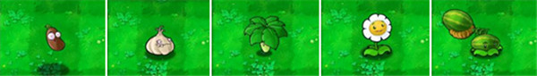 植物大战僵尸2025