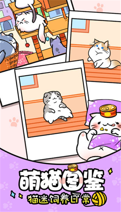 猫咪公寓截图3