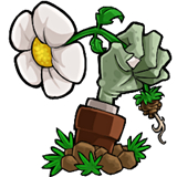 植物大战僵尸真无双版
