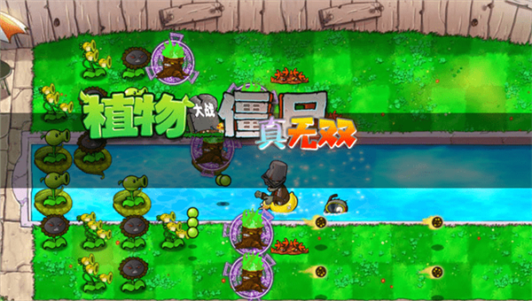 植物大战僵尸真无双版