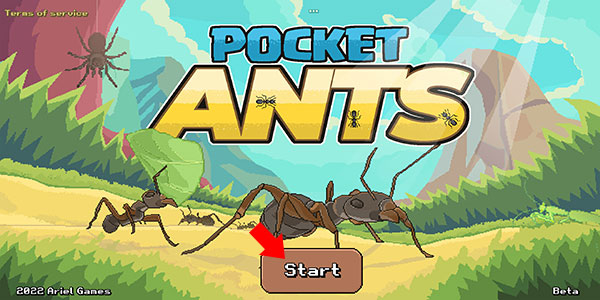 PocketAnts