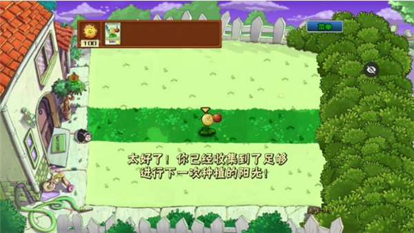 植物大战僵尸蔡徐坤
