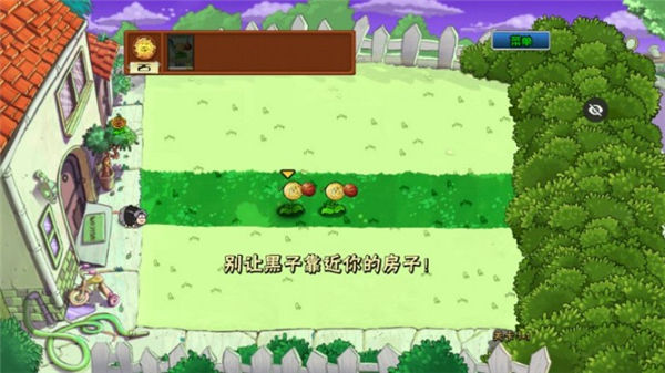植物大战僵尸蔡徐坤