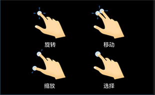 维萨里3D解剖
