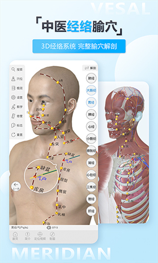 维萨里3D解剖