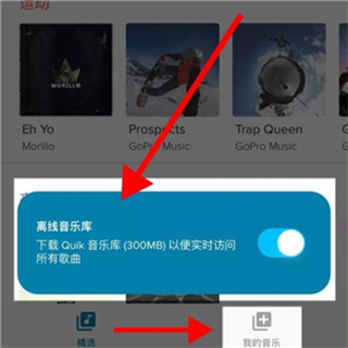 GoProQuik