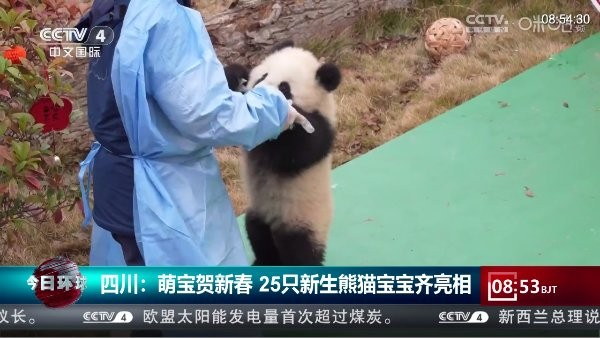 大飞直播TV