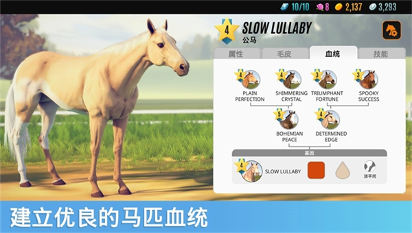家族传奇马匹养成竞技截图5