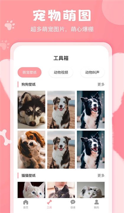 狗语翻译器截图2