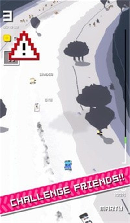 拉力赛日截图3