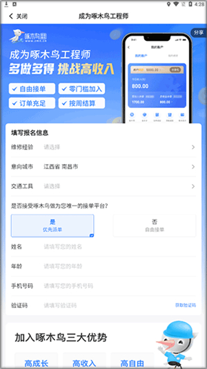 啄木鸟工程师版