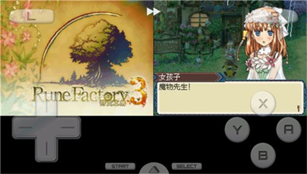 牧场物语符文工房3截图3